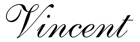 логотип VINCENT