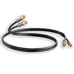 QED Performance Audio Graphite Interconnect Cable 1,0 m (QE6101)