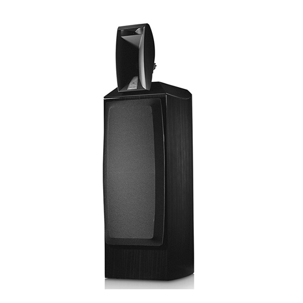 JBL SYNTHESIS Array 1000 Black