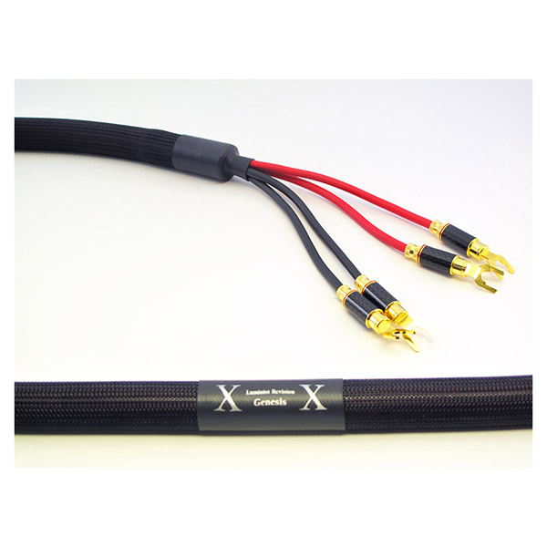 Purist Audio Design Genesis Speaker BW Luminist Revision 2,0 m