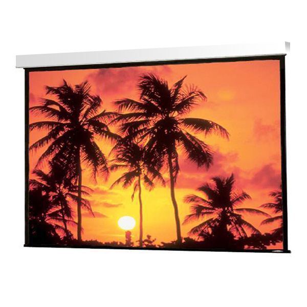 Draper Access/Series E 254/100" 124x221 XT1000V (9:16)