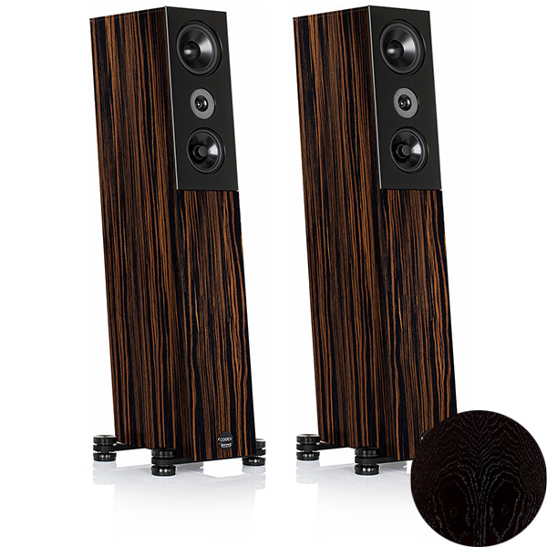 Audio Physic Codex Ebony