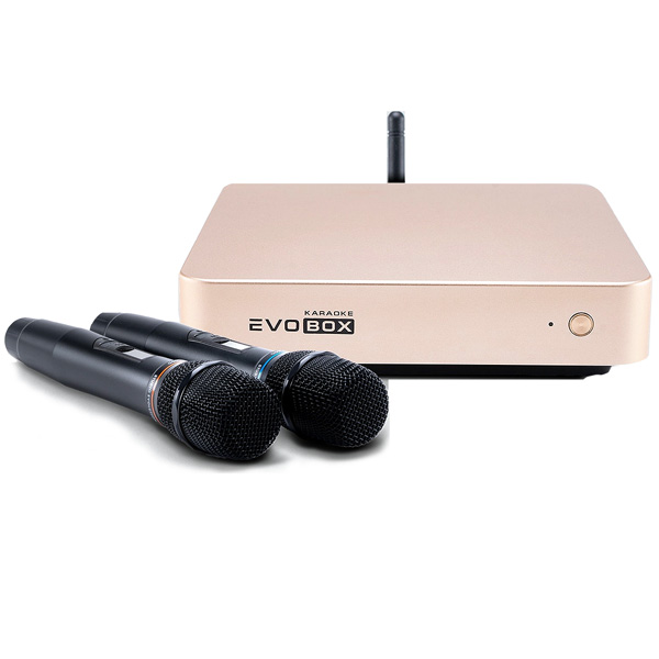 Evolution Evobox Classic с микрофонами Gold