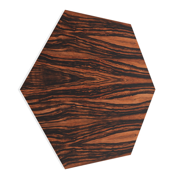 Vicoustic Vixagon VMT 20 мм Ebony
