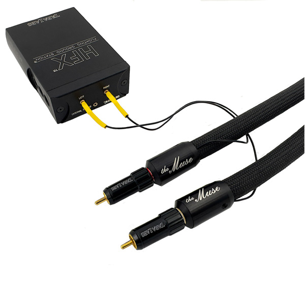 TARA Labs The Muse w/HFX - RCA 1,0 m