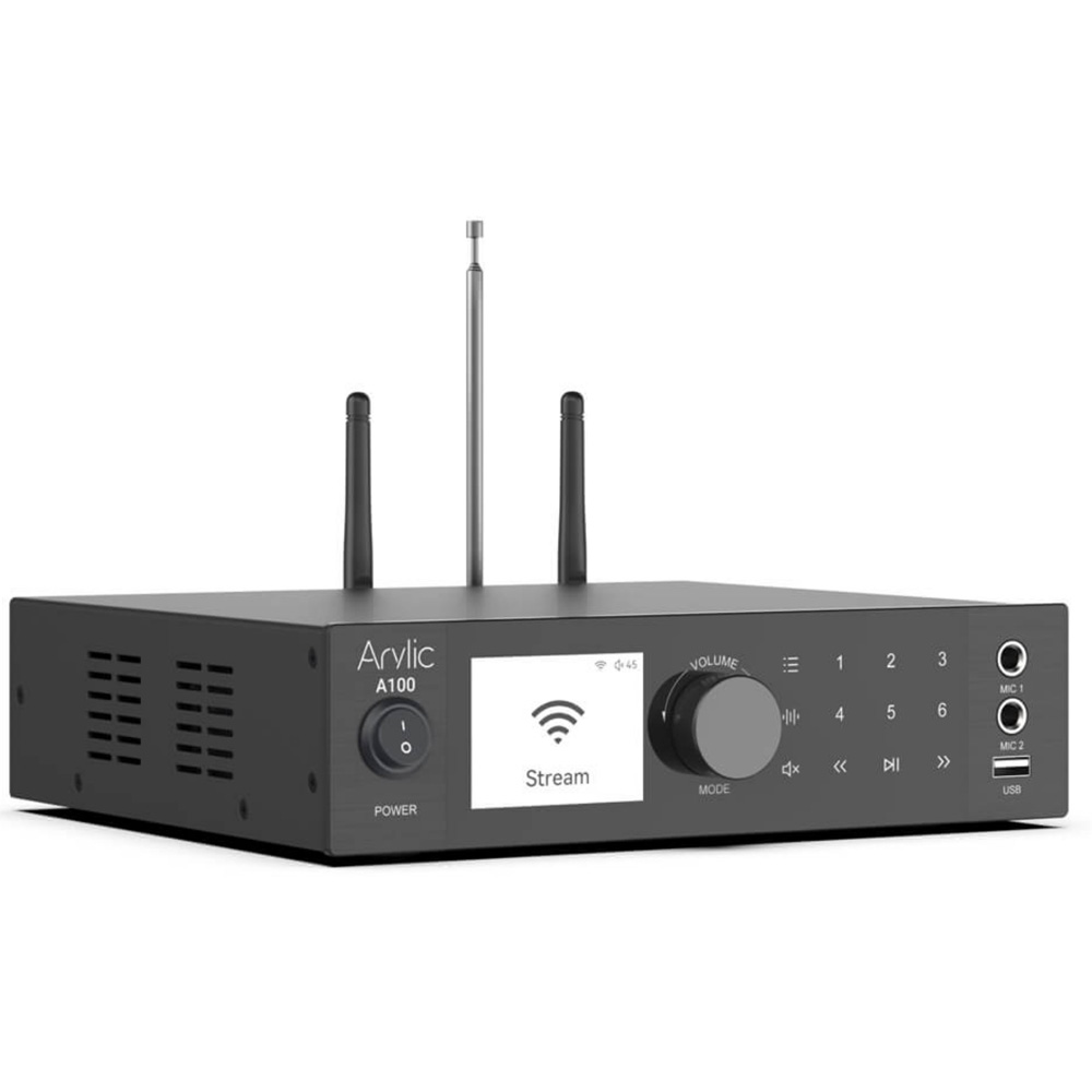 Arylic A100