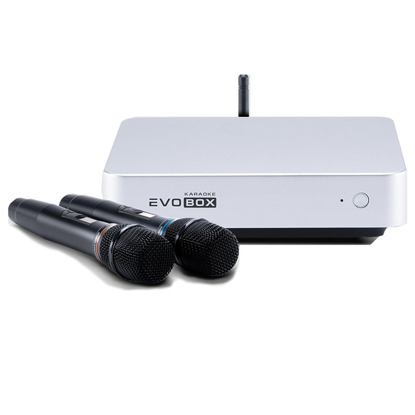 Evolution Evobox Classic с микрофонами Silver
