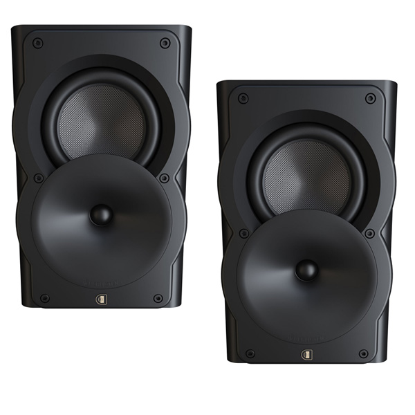 Perlisten Audio A2s Black Matte