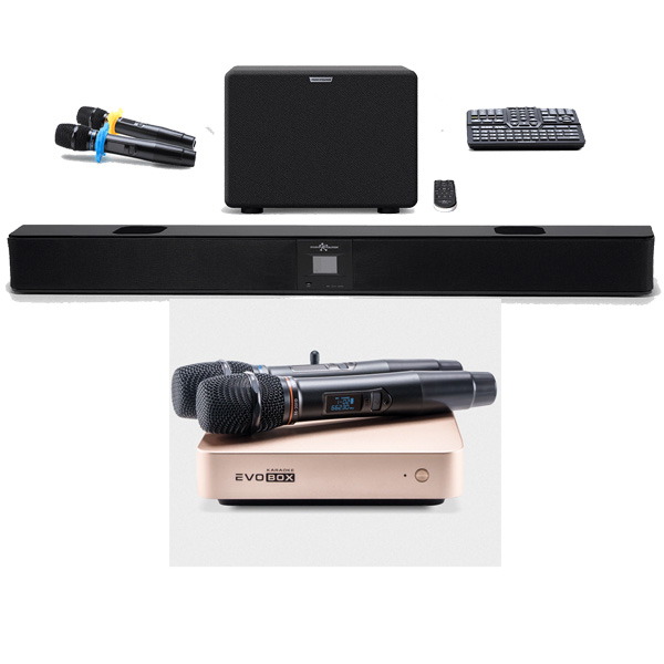 Evolution Evobox Plus EvoSound Bar Gold