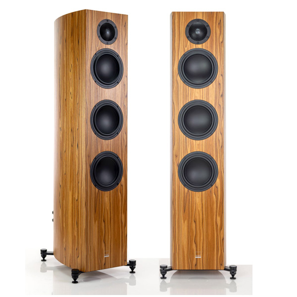 Gauder Akustik Capello 100 Be DV Olive [demo]