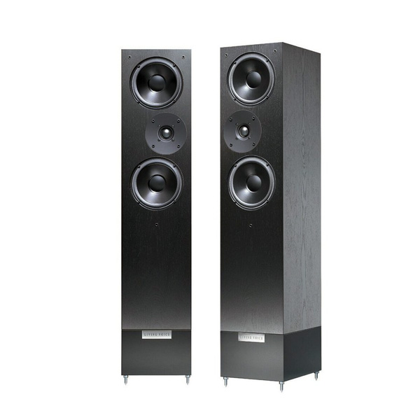 Living Voice Auditorium R25A Matt Black
