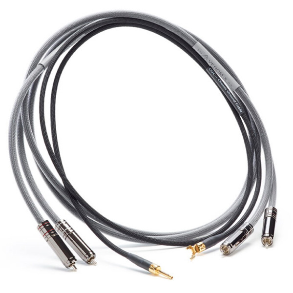 Shunyata Research Venom-X RCA Phonno 1,0 m