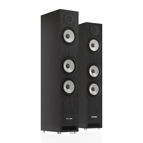 Pylon Audio Ruby 30 Charcoal
