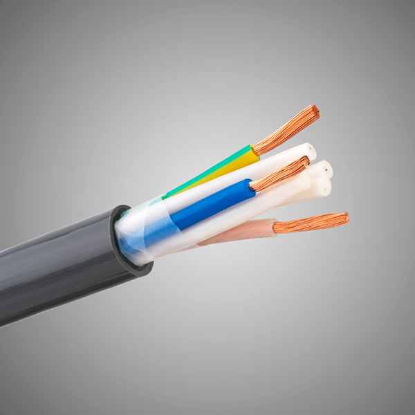 Tchernov Cable Special 2.5 AC Power bulk