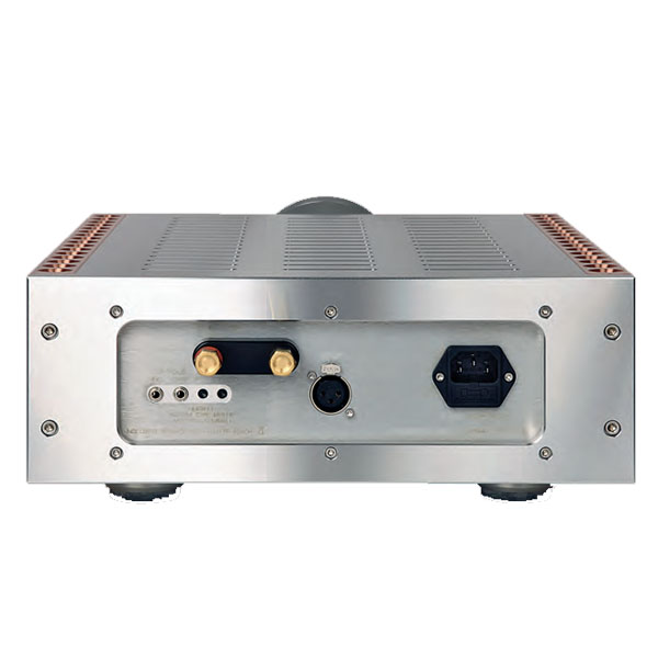 DAN D’AGOSTINO Momentum M400 MxV Monaural Amplifier Silver