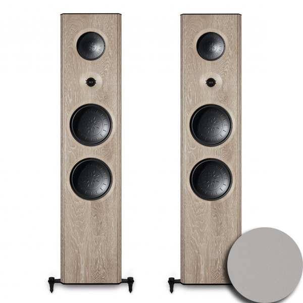 T+A Criterion S 2200 CTL Arctic Silver 96