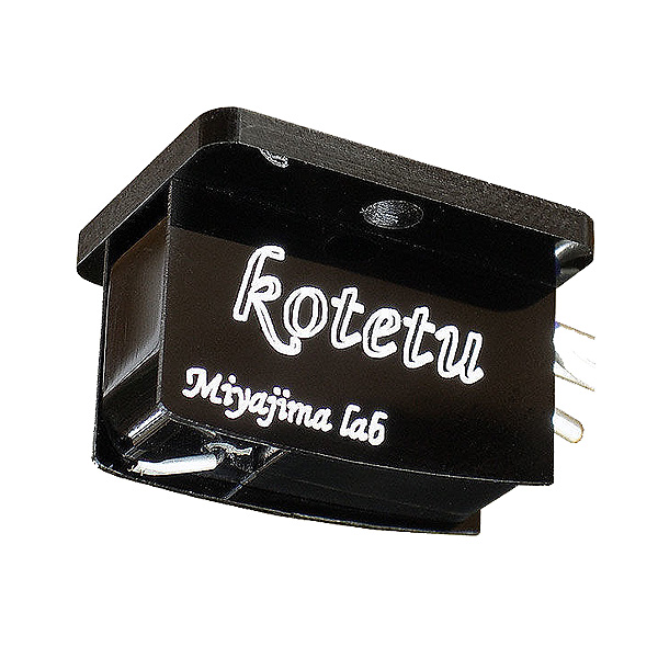 Miyajima Laboratory Kotetu 78