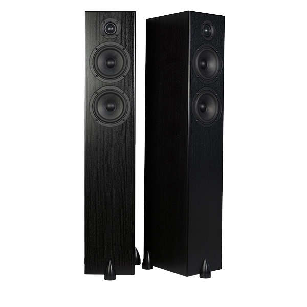 Totem Acoustic Bison Twin Tower Black Ash