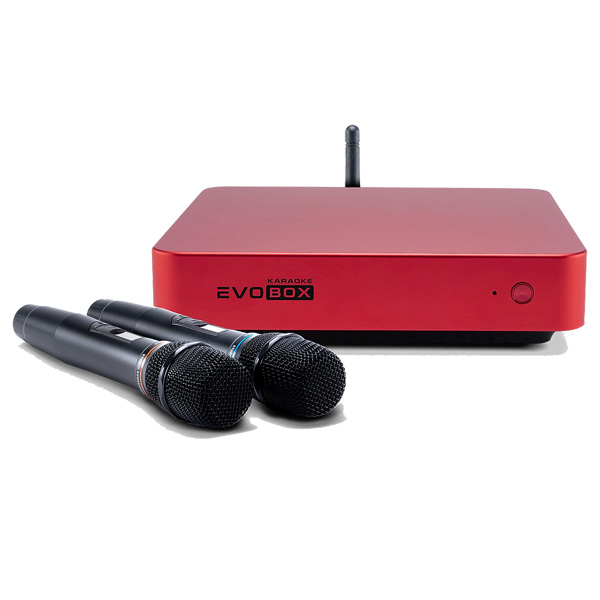 Evolution Evobox Classic с микрофонами Ruby