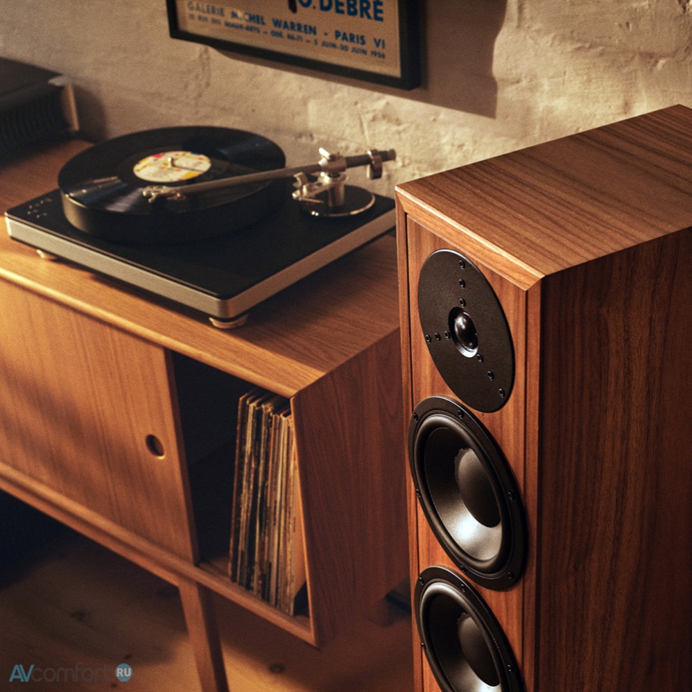 Dynaudio Contour Legacy Walnut