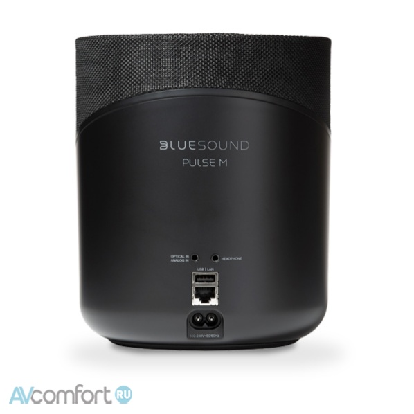 Bluesound Pulse m Black