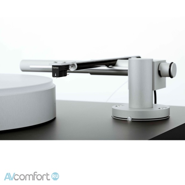 Bergmann Audio Magne Anniversary White/Silver