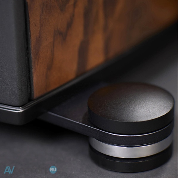 Raidho Acoustics X2T 25th Anniversary Edition