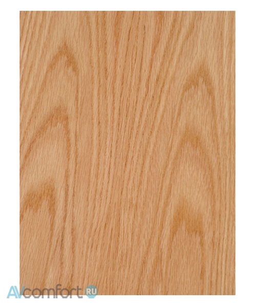 Audio Physic Tempo 25 Natural Oak