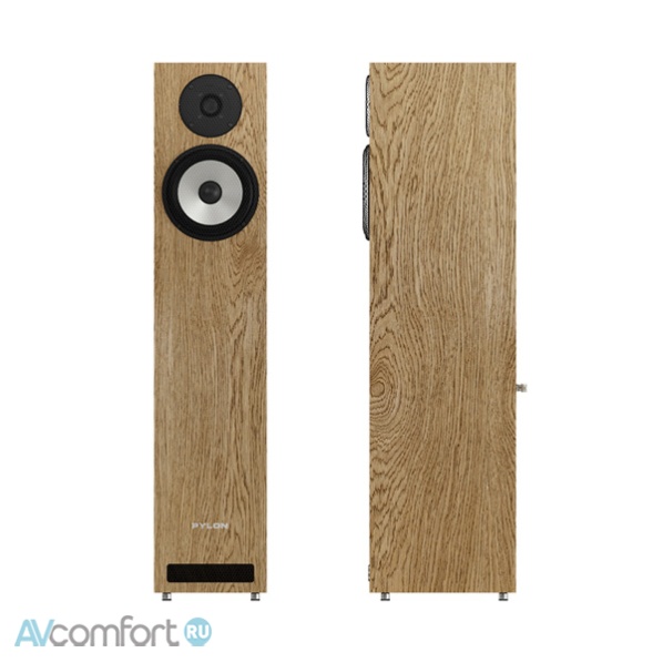 Pylon Audio Ruby 20 Dark Oak