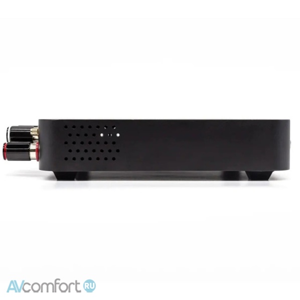 Octavio Amp 100 W