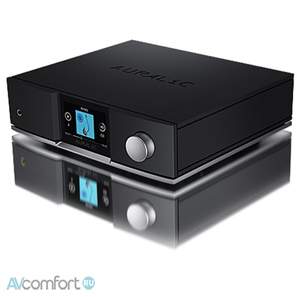 AURALIC Altair G1.1 Black