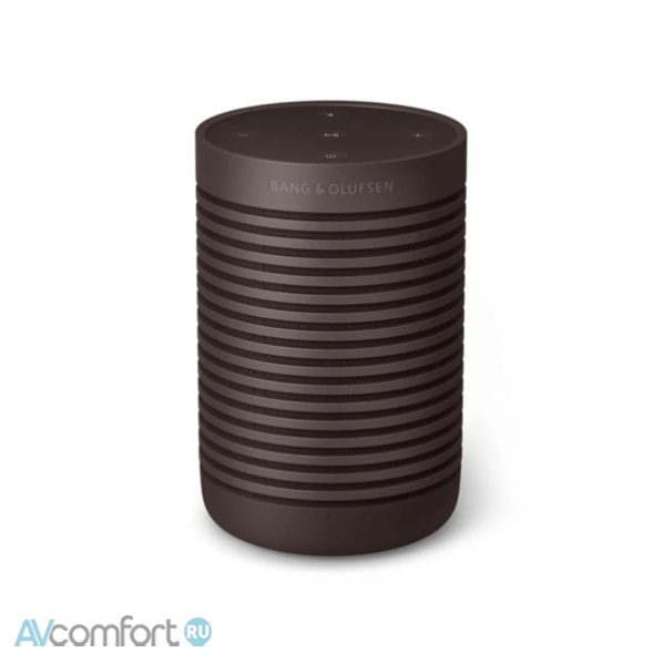 BANG & OLUFSEN Beosound Explore Chestnut