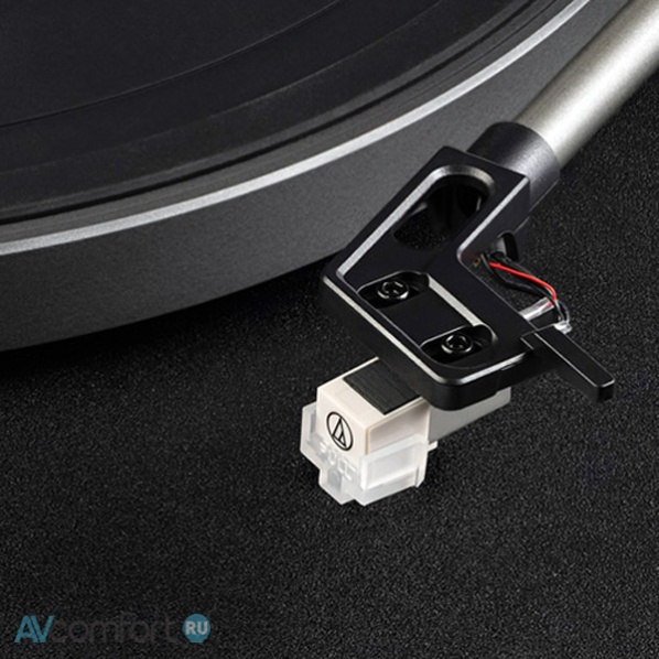 Phaze Audio Diana Walnut