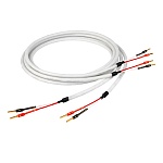 CHORD COMPANY Clearway Speaker bulk