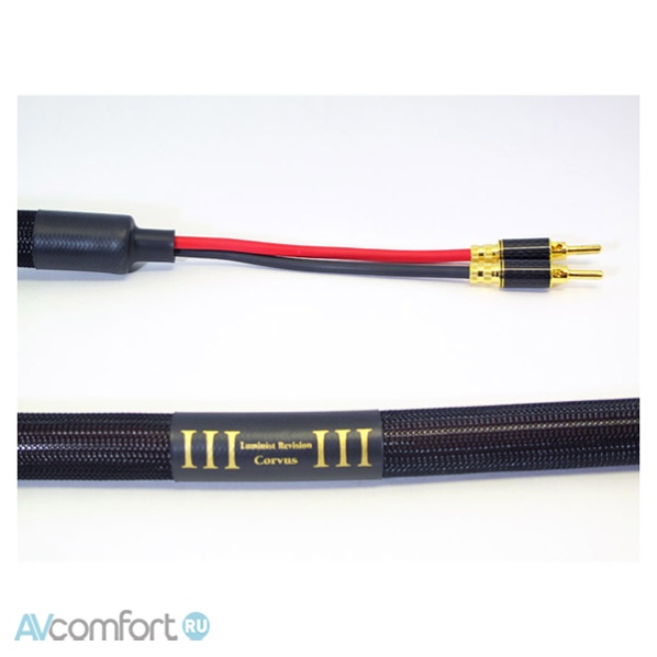AVComfort, Purist Audio Design Corvus Speaker Luminist Revision 2,0 m
