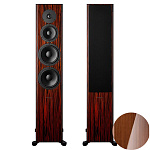 Dynaudio Focus 60 XD Walnut High Gloss