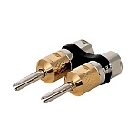 Cardas Audio CABD
