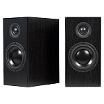 TOTEM ACOUSTIC Bison Monitor Black Ash