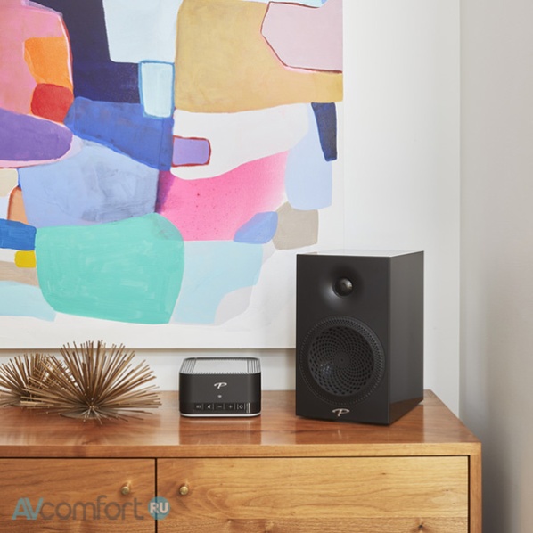 Paradigm Premier 100B Satin Black