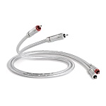 QED Signature Audio 40 0,6 m (QE2440)