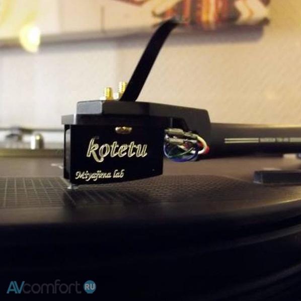 Miyajima Laboratory Kotetu Mono Miyajima Laboratory Kotetu Mono