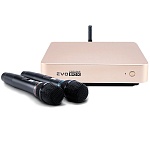 Evolution Evobox Classic с микрофонами Gold