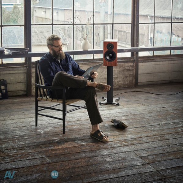 Dynaudio Evoke 20 Blonde Dynaudio Evoke 20 Blonde