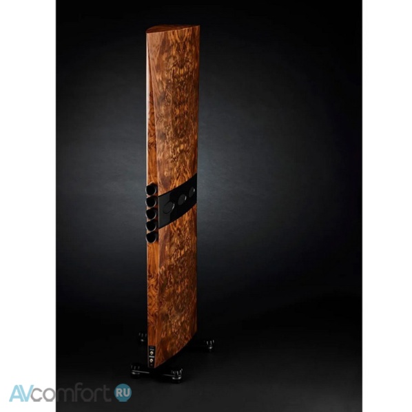 Raidho Acoustics TD4.8 Black