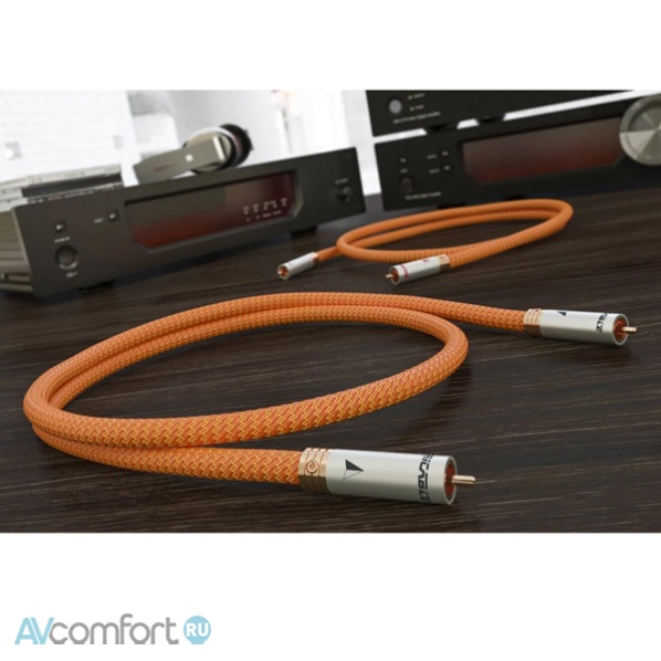 Ricable Dedalus Signal RCA 1,0 m