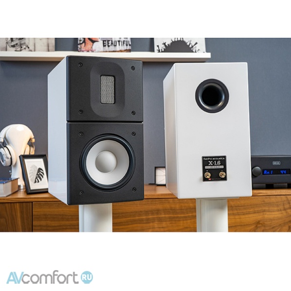 Raidho Acoustics X1.6 Black
