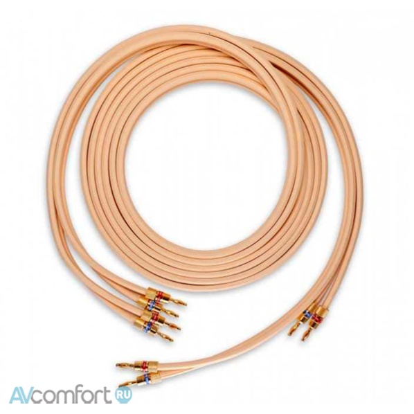 AVComfort, Van Den Hul The CS-122 Hybrid Banana 2х2,0 м