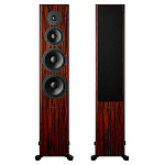 Dynaudio Focus 60 XD Rosewood High Gloss