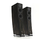 Pylon Audio Jasper 23 Active Heban Marocco