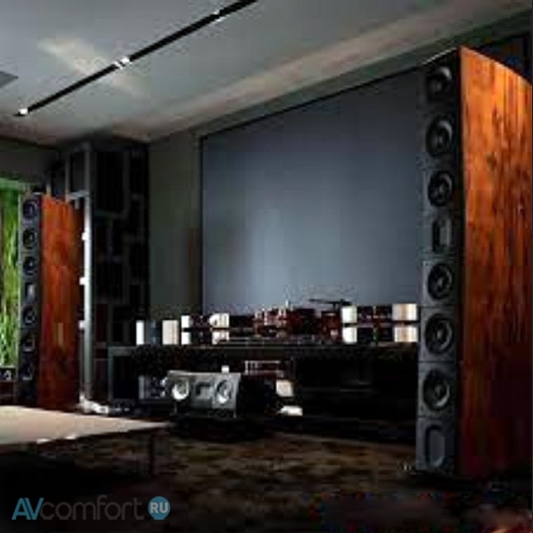 Raidho Acoustics TD4.2 Walnut Burl